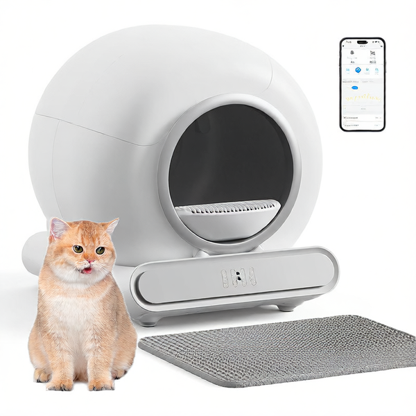 Smart cat litter box